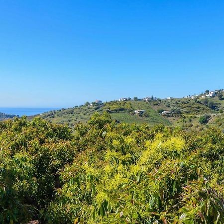 Villa Javier De Frigiliana By Ruralidays 外观 照片